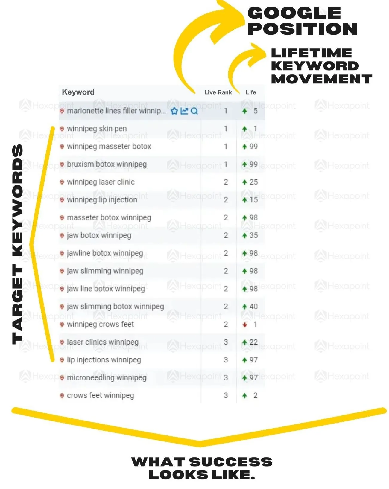 Keyword ranking table showing #1 positions held on competitive commercial skin care terms