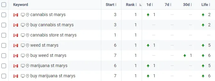 Search Console performance after the SEO engagement — strong, sustained impression and click growth across all locations
