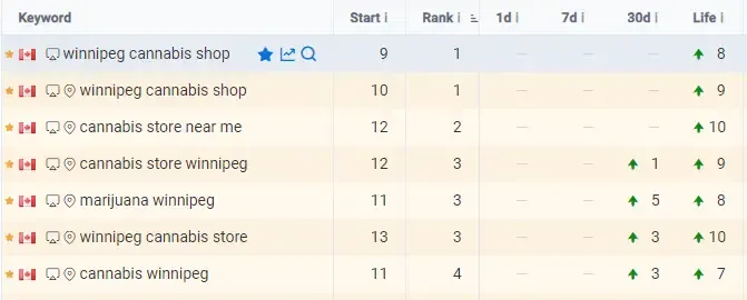 Search Console performance before the SEO engagement — flat impressions, minimal click growth across all locations