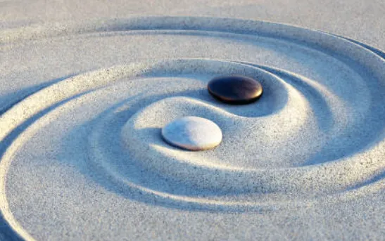 Wellness and lifestyle brand SEO case study