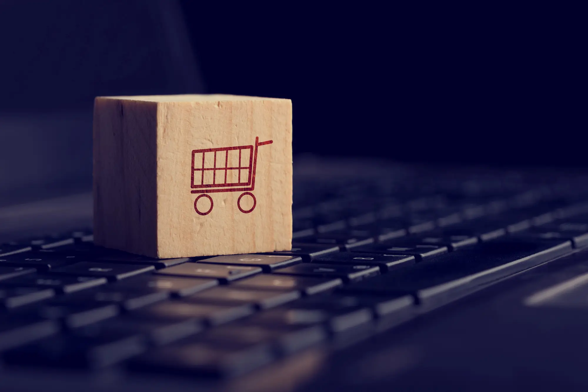 E-Commerce Case Studies