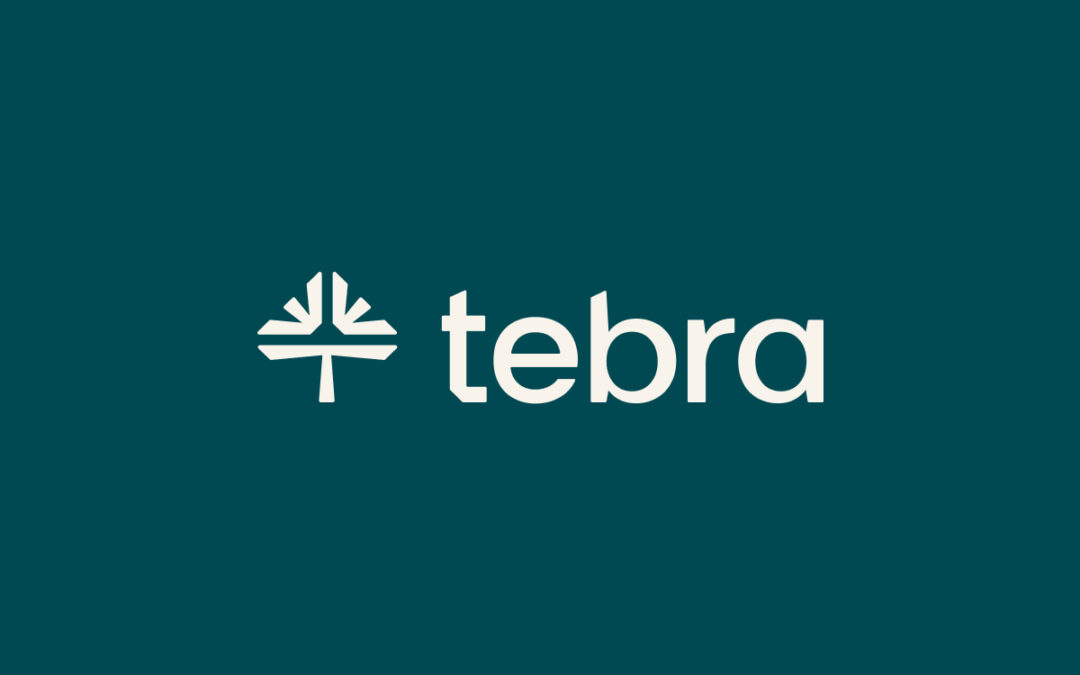 Why You Should Never Let Tebra Control Your Online Presence: A Serious Warning to Medical Practices